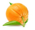 One whole orange with leaf isolated on white background