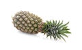 One whole pineapple with green leaves isolated on white background with clipping path Royalty Free Stock Photo