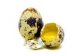 One whole quail egg and one broken raw brown spot Royalty Free Stock Photo