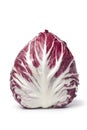 One whole Radicchio rosso Royalty Free Stock Photo