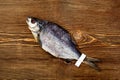 One whole salted sun-dried bream with label on tail on wooden background Royalty Free Stock Photo