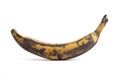 One whole single plantain Royalty Free Stock Photo