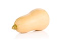 Smooth pear shaped orange butternut squash waltham isolated on white Royalty Free Stock Photo