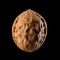 One whole walnut nut isolated on black background Royalty Free Stock Photo