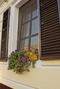 One window with brown wooden shutters and a flowerpot with decorative flowers Royalty Free Stock Photo