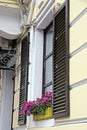 one window with brown wooden shutters and a flowerpot with decorative flowers Royalty Free Stock Photo