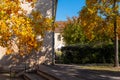 One window framed with trees bearing autumn foliage