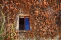 One window on the ruined building