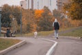 One woman goes Nordic walking with a white dog. Sports walk on a cloudy autumn morning in a city park