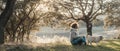 One woman sitting on the grass enjoying calm and serene quiet place and wellbeing with her best friend dog. Together forever Royalty Free Stock Photo