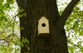 One wooden animal house with the round entrance is attached to the trunk of the deciduous tree