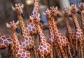 One wooden giraffe stands out in crowd of similar carvings