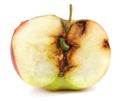 One wormy apple Royalty Free Stock Photo
