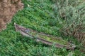 One wreck wooden boat strand in the bush in Rabat