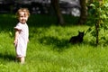 One-year child plays with cat on the lawn Royalty Free Stock Photo