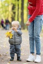 One year old baby boy in autumn park learning to walk with his mother
