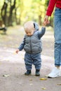 One year old baby boy in autumn park learning to walk with his mother