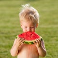 One year old baby boy eating watermelon in the garden Royalty Free Stock Photo