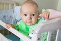 One year old baby is sitting and attentively looking somewhere. Little cheerful boy in a light green suit with sheep. Royalty Free Stock Photo