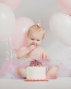 One Year Old Birthday Portraits with Smash Cake Royalty Free Stock Photo