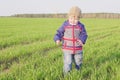One year old boy farmer going in the field with young wheat. Closeup Royalty Free Stock Photo