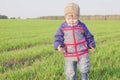 One year old boy farmer going in the field with young wheat. Closeup Royalty Free Stock Photo