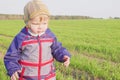 One year old boy farmer going in the field with young wheat. Closeup Royalty Free Stock Photo