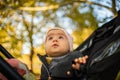 One year old cute baby girl in black strolly amazed to see colorful autumn leaves. Looking up at the trees Royalty Free Stock Photo