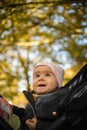 One year old cute baby girl in black strolly amazed to see colorful autumn leaves. Looking up at the trees Royalty Free Stock Photo