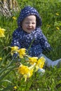 A one-year-old girl is sitting on the grass in the spring. She does not like yellow flowers. A baby girl is smiling Royalty Free Stock Photo