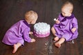 One year old twin girls selebrating they 1st birthday and eating smash-cake Royalty Free Stock Photo