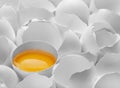 One yelk in broken egg shell Royalty Free Stock Photo