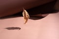 One yellow autumn leaf is flying on brown rolled paper background in sunbeams Royalty Free Stock Photo