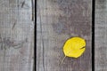 One yellow autumn leaf on an old wooden Board. Royalty Free Stock Photo