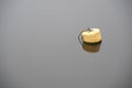 One yellow buoy floating in water for demarcation of safe water depth Royalty Free Stock Photo