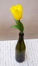 One yellow flower in a bottle on the table Royalty Free Stock Photo