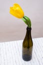 One yellow flower in a bottle on the table Royalty Free Stock Photo