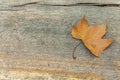 One yellow leaf on a wooden table like retro design Royalty Free Stock Photo