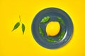 One yellow lemon leaves green on blue plate. copy space Royalty Free Stock Photo