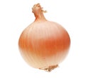 One yellow onion bulb Royalty Free Stock Photo