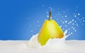 one yellow pear falling into splashing of milk Royalty Free Stock Photo