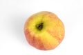 Side view on one isolated ripe autumn organic colorful apple