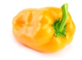 one yellow sweet bell pepper isolated on white background Royalty Free Stock Photo