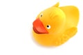 One yellow toy duckling on white background