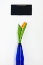 One yellow tulip in blue vase and chalk board for notes isolated Royalty Free Stock Photo