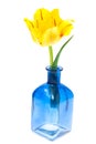 One yellow tulip in vase Royalty Free Stock Photo