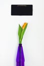 One yellow tulip in a vase and violet purple chalk board for not Royalty Free Stock Photo