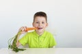 One young brunette boy eating carrot Royalty Free Stock Photo