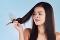 One young hispanic woman looking unhappy and worried about her unhealthy hair while posing against a blue studio Royalty Free Stock Photo