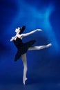 One young incredibly beautiful woman, ballerina in black ballet outfit, tutu dancing at blue studio full of light. Royalty Free Stock Photo